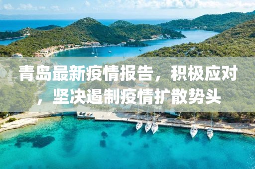 青岛最新疫情报告，积极应对，坚决遏制疫情扩散势头