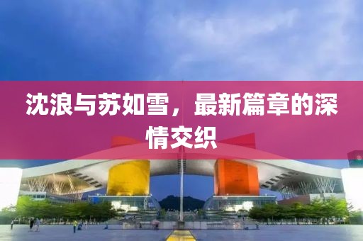 沈浪与苏如雪，最新篇章的深情交织