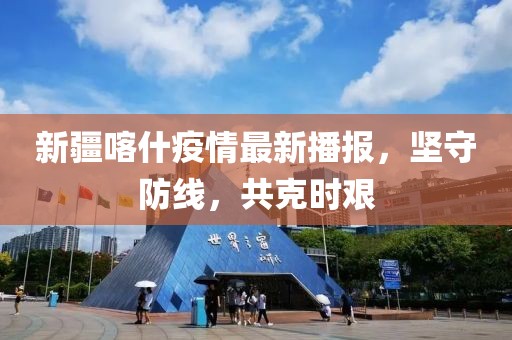 新疆喀什疫情最新播报，坚守防线，共克时艰