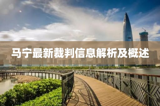 马宁最新裁判信息解析及概述