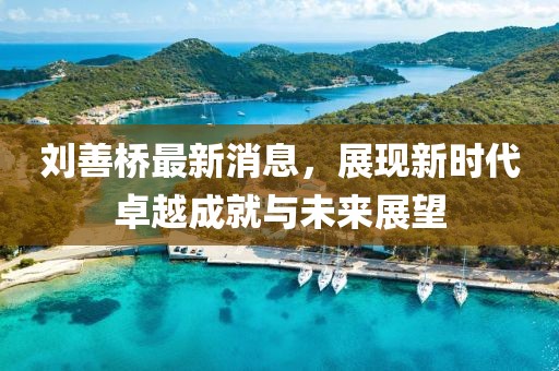 刘善桥最新消息，展现新时代卓越成就与未来展望
