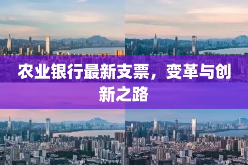 农业银行最新支票，变革与创新之路