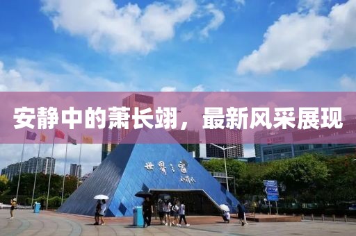 安静中的萧长翊，最新风采展现