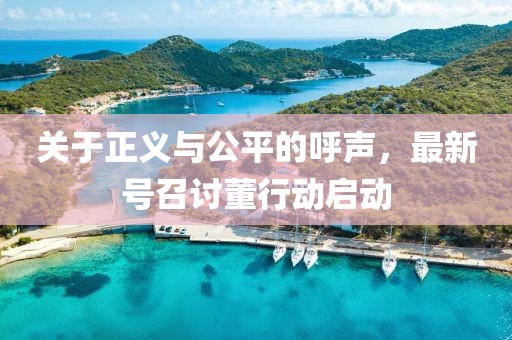 关于正义与公平的呼声，最新号召讨董行动启动