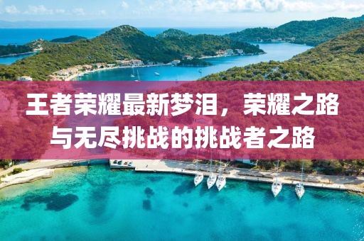 王者荣耀最新梦泪，荣耀之路与无尽挑战的挑战者之路