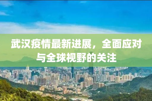 武汉疫情最新进展，全面应对与全球视野的关注