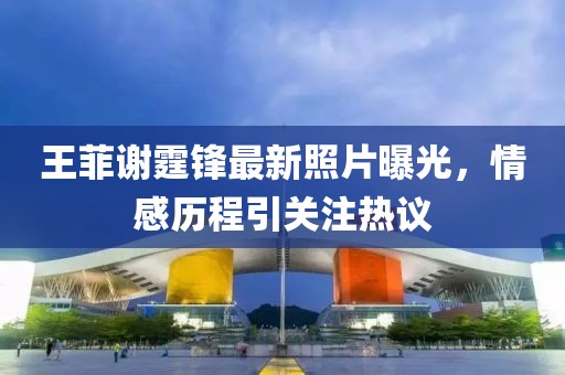 王菲谢霆锋最新照片曝光，情感历程引关注热议