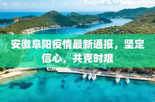 安徽阜阳疫情最新通报，坚定信心，共克时艰