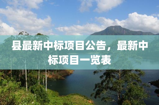 县最新中标项目公告，最新中标项目一览表