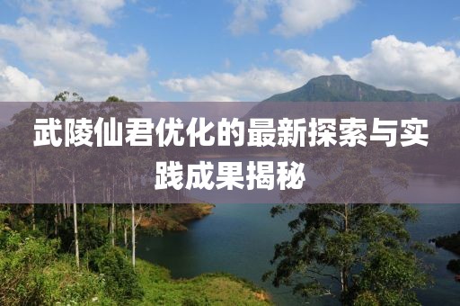 武陵仙君优化的最新探索与实践成果揭秘
