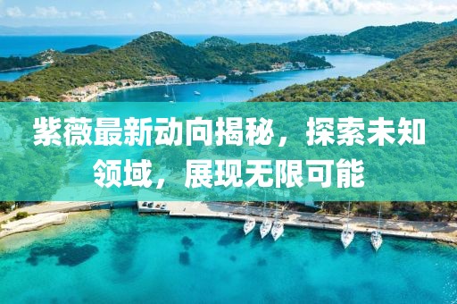 紫薇最新动向揭秘，探索未知领域，展现无限可能