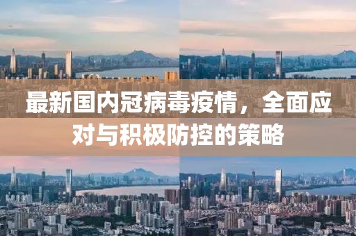 最新国内冠病毒疫情，全面应对与积极防控的策略