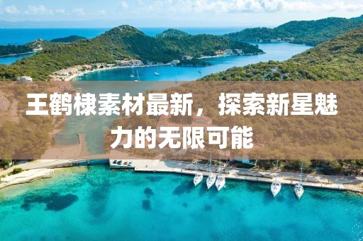 王鹤棣素材最新，探索新星魅力的无限可能