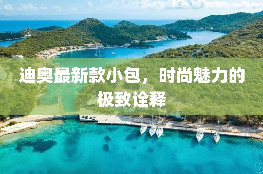 迪奥最新款小包，时尚魅力的极致诠释