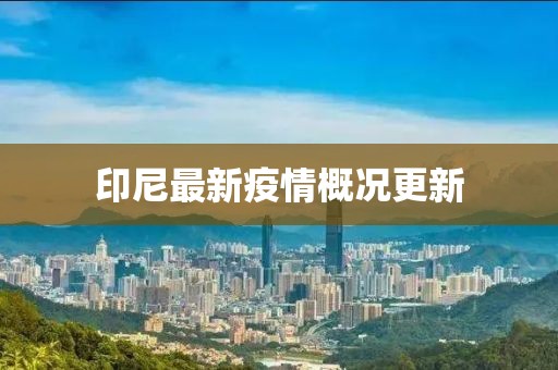 印尼最新疫情概况更新