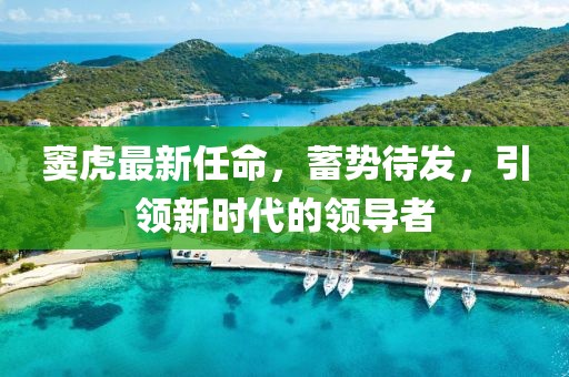窦虎最新任命，蓄势待发，引领新时代的领导者