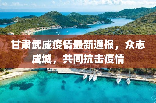 甘肃武威疫情最新通报，众志成城，共同抗击疫情