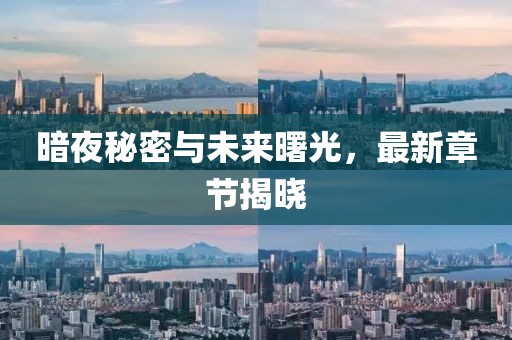 暗夜秘密与未来曙光，最新章节揭晓