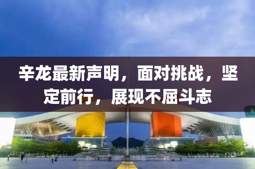 辛龙最新声明，面对挑战，坚定前行，展现不屈斗志