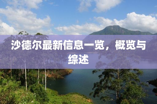 沙德尔最新信息一览，概览与综述