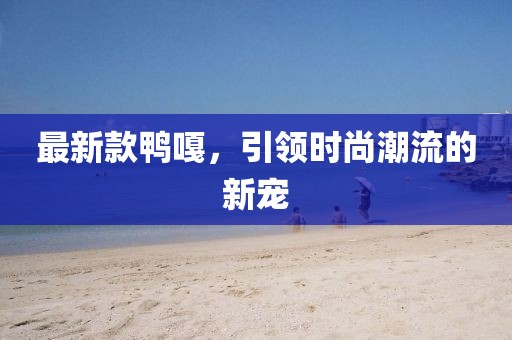 最新款鸭嘎，引领时尚潮流的新宠