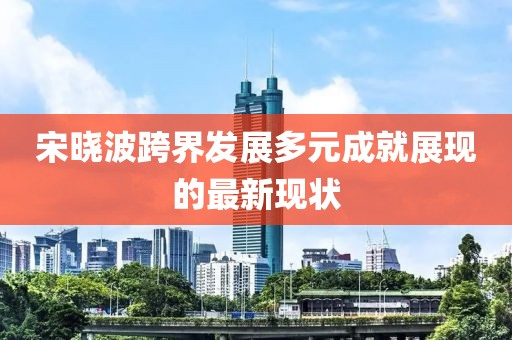 宋晓波跨界发展多元成就展现的最新现状