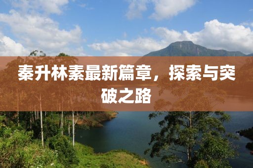 秦升林素最新篇章，探索与突破之路