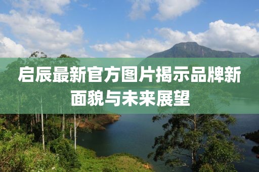 启辰最新官方图片揭示品牌新面貌与未来展望