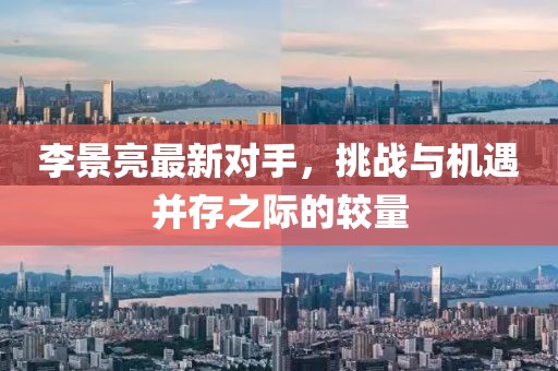 李景亮最新对手，挑战与机遇并存之际的较量