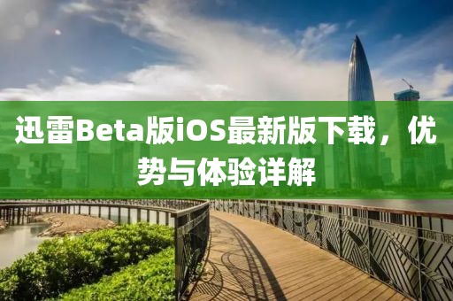 迅雷Beta版iOS最新版下载，优势与体验详解