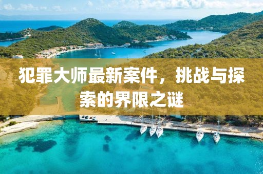 犯罪大师最新案件，挑战与探索的界限之谜