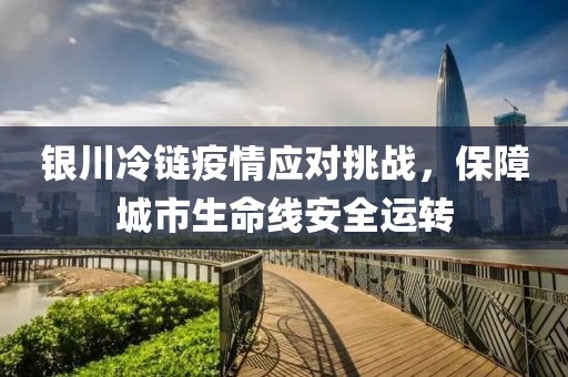 银川冷链疫情应对挑战，保障城市生命线安全运转