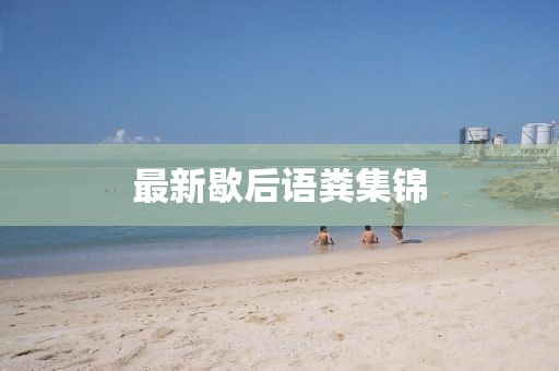 最新歇后语粪集锦
