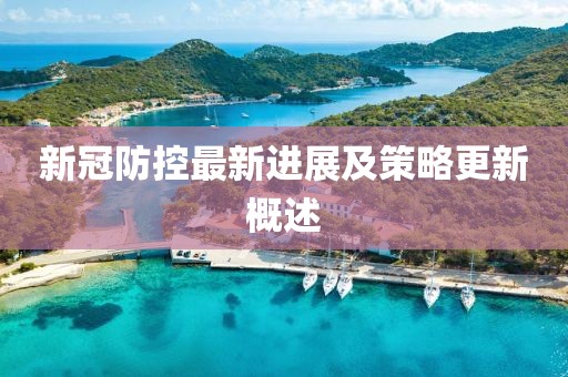 新冠防控最新进展及策略更新概述