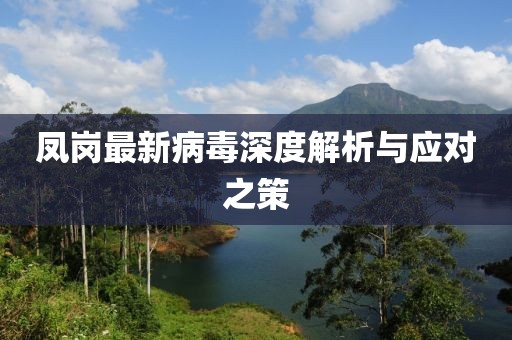 凤岗最新病毒深度解析与应对之策