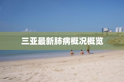 三亚最新肺病概况概览