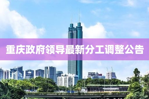 重庆政府领导最新分工调整公告