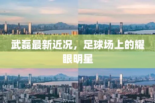 武磊最新近况，足球场上的耀眼明星