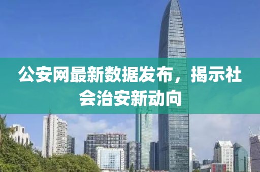 公安网最新数据发布，揭示社会治安新动向