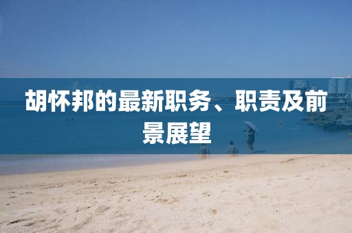 胡怀邦的最新职务、职责及前景展望