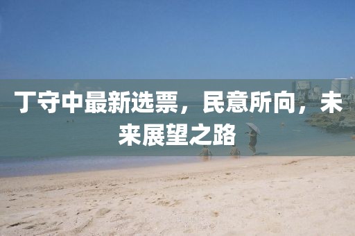 丁守中最新选票，民意所向，未来展望之路
