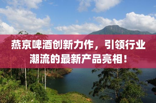 燕京啤酒创新力作，引领行业潮流的最新产品亮相！