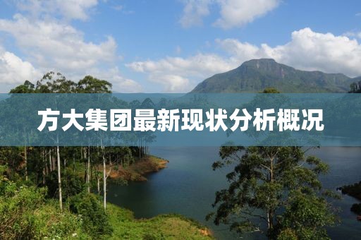 方大集团最新现状分析概况