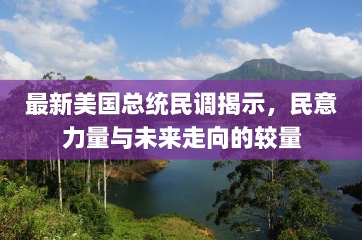 最新美国总统民调揭示，民意力量与未来走向的较量