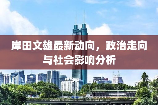 岸田文雄最新动向，政治走向与社会影响分析