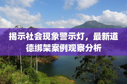 揭示社会现象警示灯，最新道德绑架案例观察分析