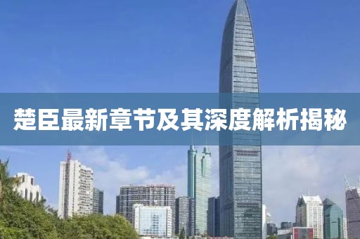 楚臣最新章节及其深度解析揭秘