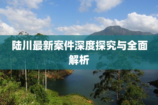陆川最新案件深度探究与全面解析