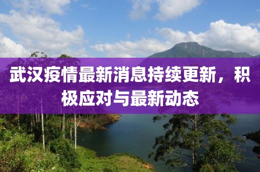 武汉疫情最新消息持续更新，积极应对与最新动态
