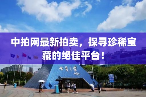 中拍网最新拍卖，探寻珍稀宝藏的绝佳平台！